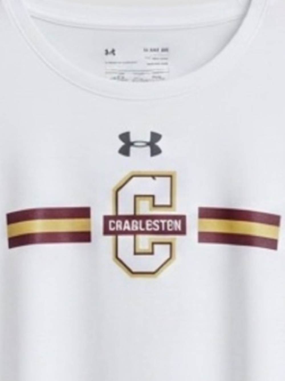 Under Armour College of Charleston Men’s  LS Performance HEATGEAR Tee T Shirt